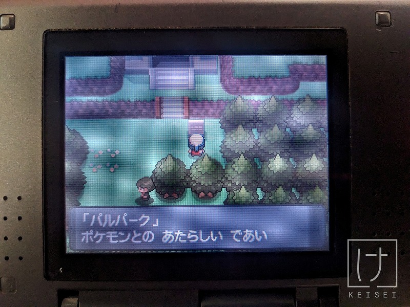 過去作からポケモンHOMEに送る方法をまとめて解説【GBAから最新作まで】