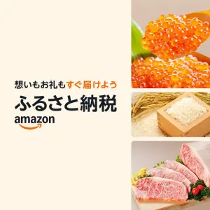 【未使用】イーブイで冒険サポートBOOK 10冊 ポケモンSV】げんきな「イーブイ」+「進化に役立つ道具セット